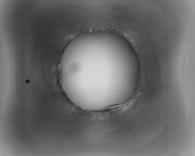X0000113080192200908280955