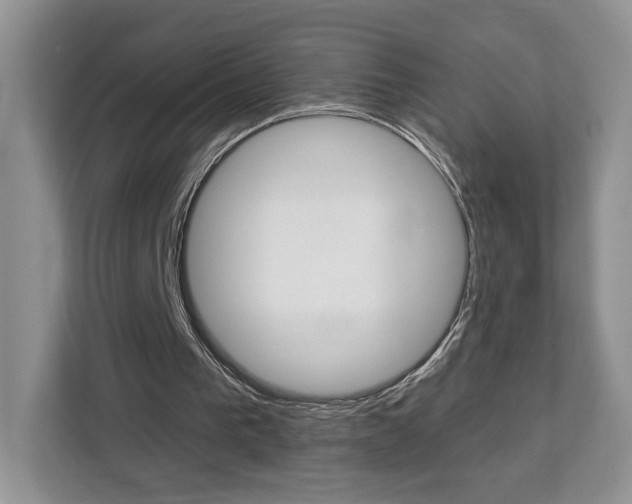 X0000113080193200908280954