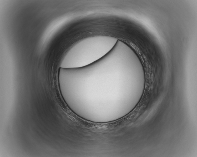 X0000113080194200908280954
