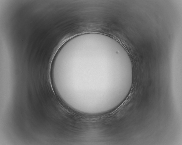 X0000113080195200908280954