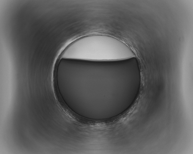 X0000113080196200908280954