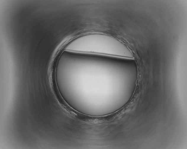 X0000113080197200908280954