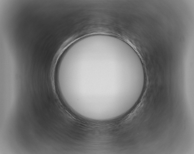 X0000113080199200908280954