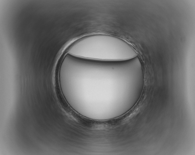 X0000113080200200908280954