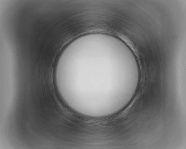 X0000113080201200908280954