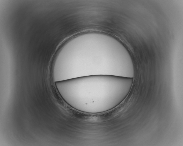 X0000113080204200908280954