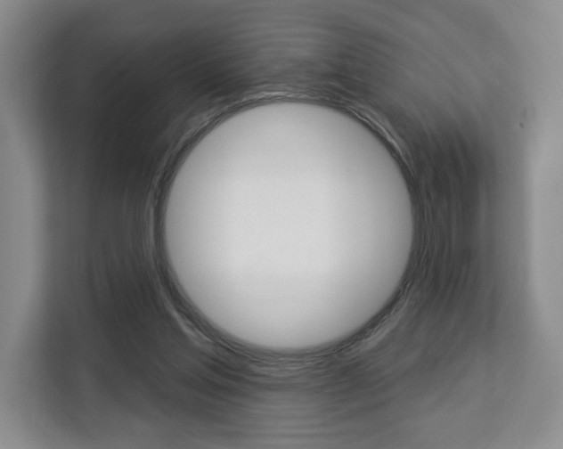 X0000113080205200908280954