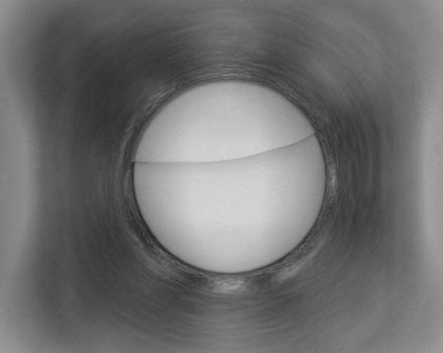 X0000113080206200908280954
