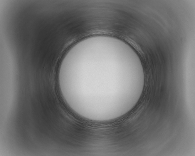 X0000113080207200908280954