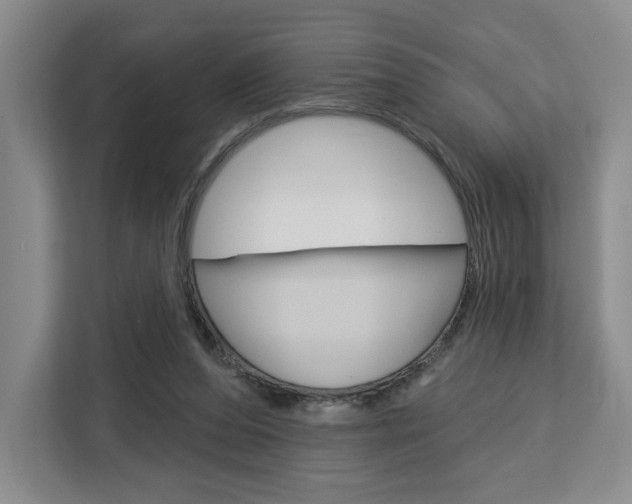 X0000113080208200908280954