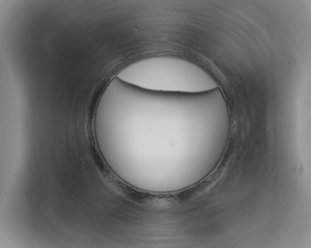 X0000113080209200908280954