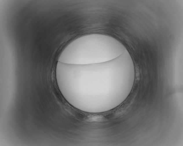 X0000113080210200908280954
