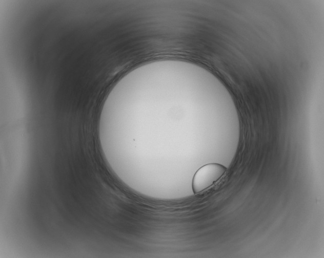 X0000113080211200908280954
