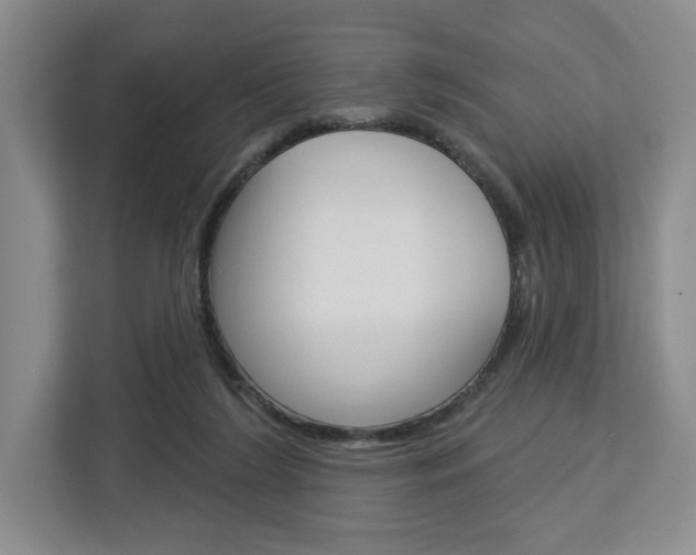 X0000113080212200908280954