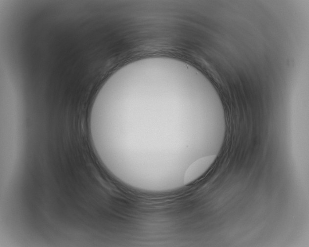 X0000113080213200908280954