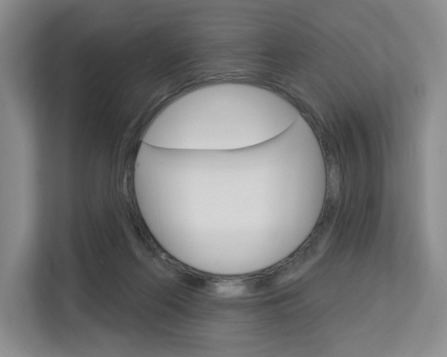 X0000113080214200908280954