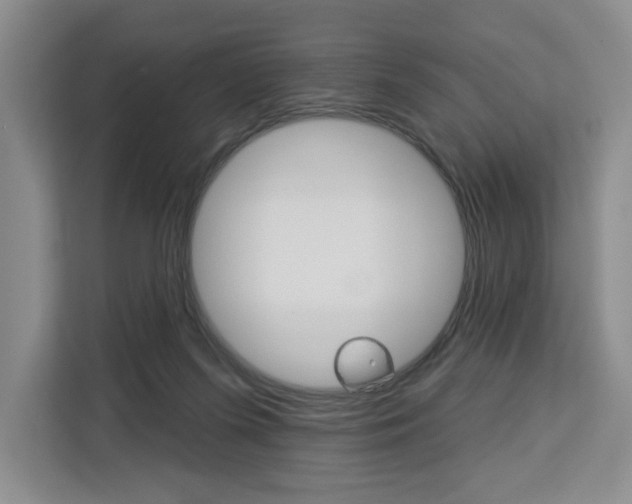 X0000113080215200908280954