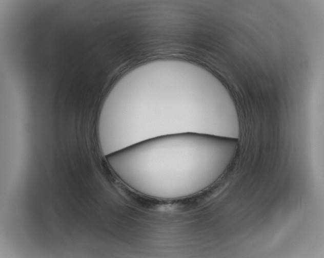X0000113080216200908280954