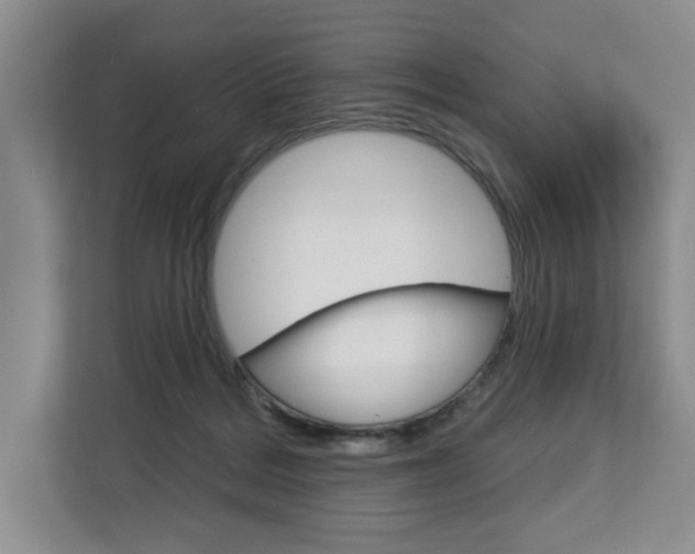X0000113080220200908280954
