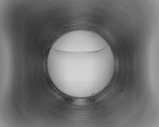 X0000113080222200908280954