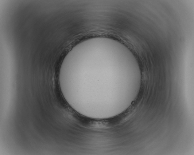X0000113080223200908280953