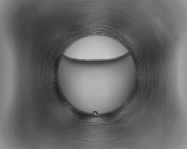 X0000113080224200908280953