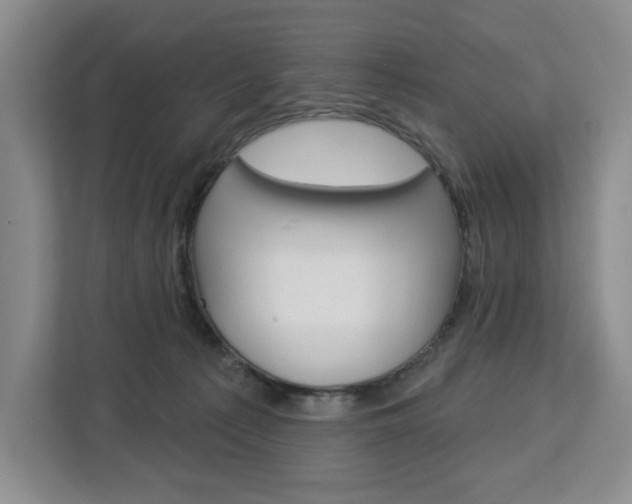X0000113080225200908280953