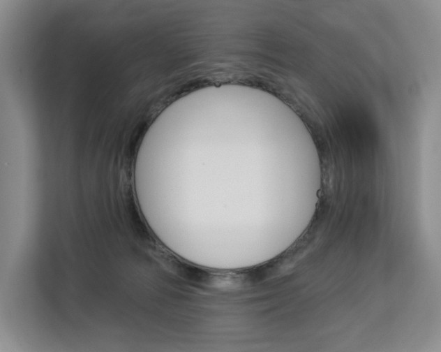 X0000113080226200908280953