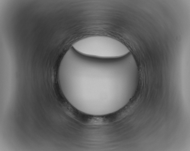 X0000113080227200908280953