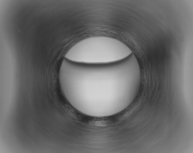 X0000113080228200908280953