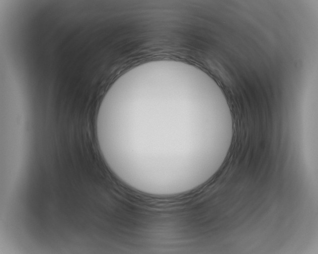 X0000113080229200908280953
