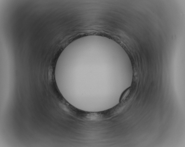 X0000113080231200908280953