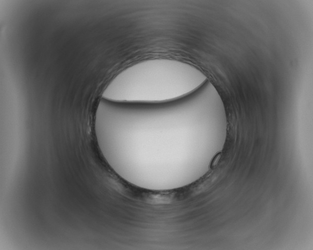 X0000113080232200908280953