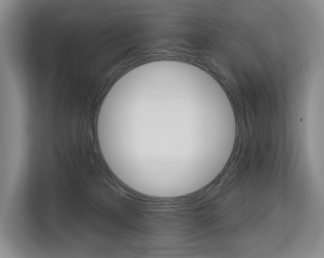 X0000113080233200908280953