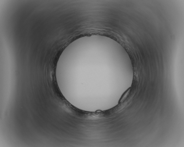 X0000113080235200908280953
