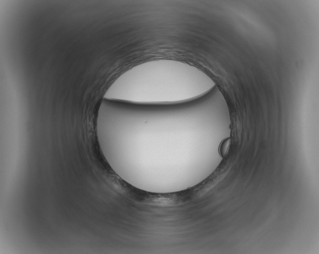 X0000113080236200908280953