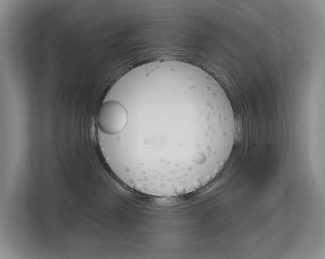 X0000113080238200908280953