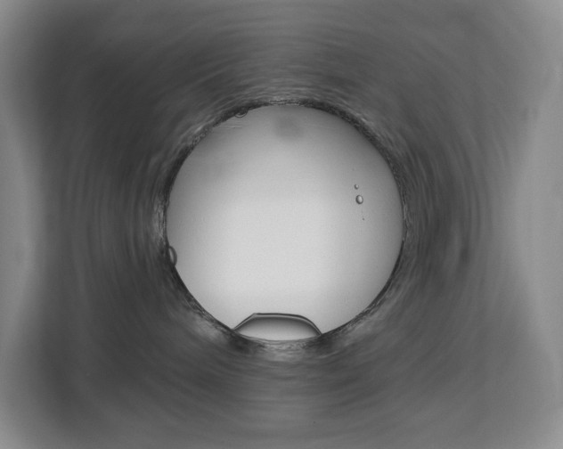 X0000113080240200908280953