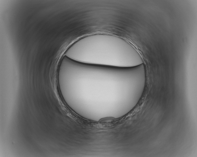 X0000113080241200908280953