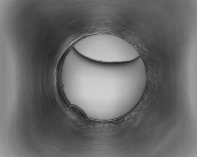 X0000113080242200908280953