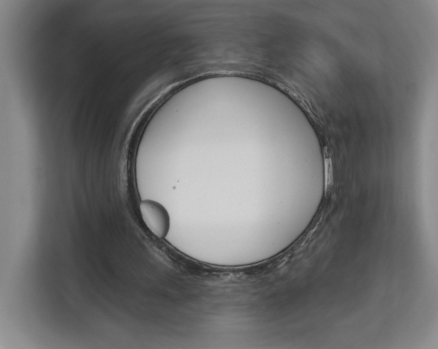 X0000113080243200908280953