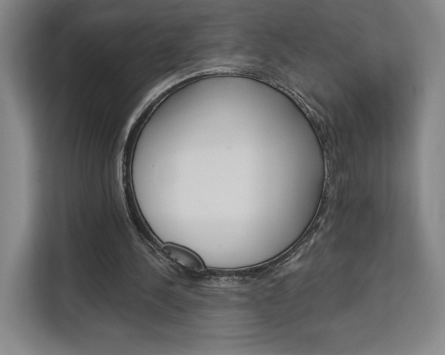 X0000113080244200908280953