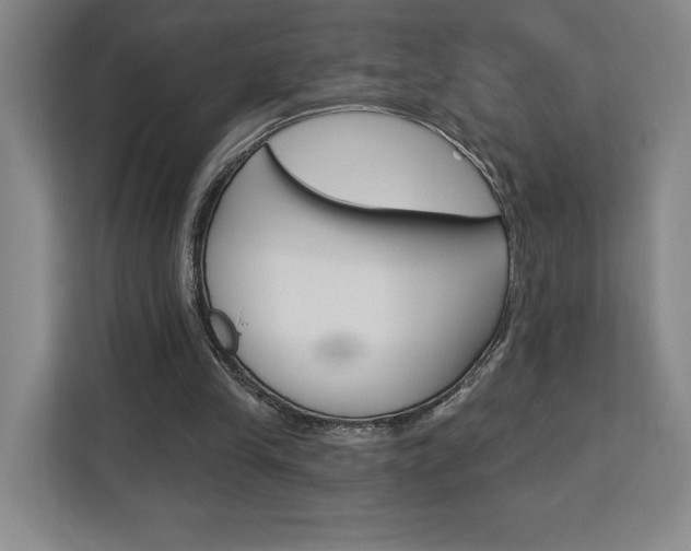 X0000113080245200908280953