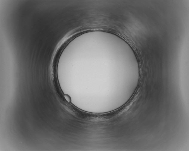 X0000113080246200908280953