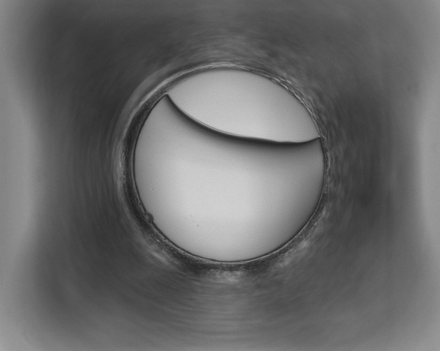 X0000113080247200908280953