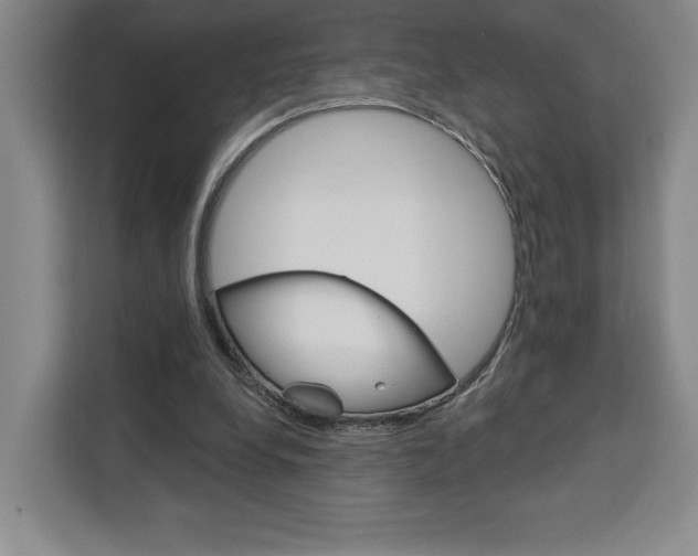 X0000113080248200908280953