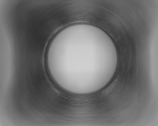 X0000113080252200908280953