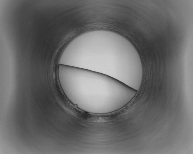 X0000113080254200908280953