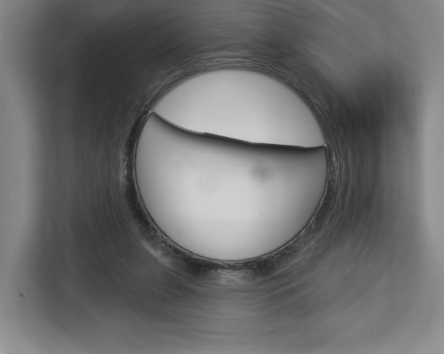 X0000113080255200908280953