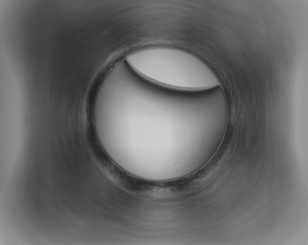 X0000113080256200908280953